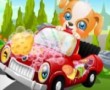 Puppy Car Wash